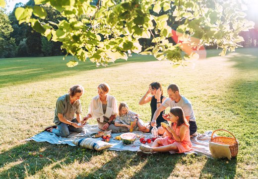 Familie beim Picknick im Park