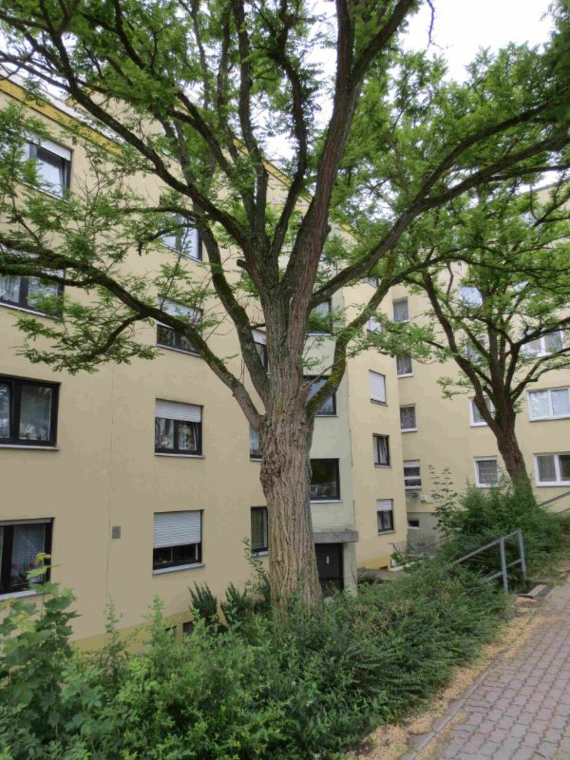 Nur mit Wohnberechtigungsschein 1. Förderweg  - Öffentlich geförderte Wohnung mit Balkon und Blick ins Grüne! Bild2.jpg | © Dawonia