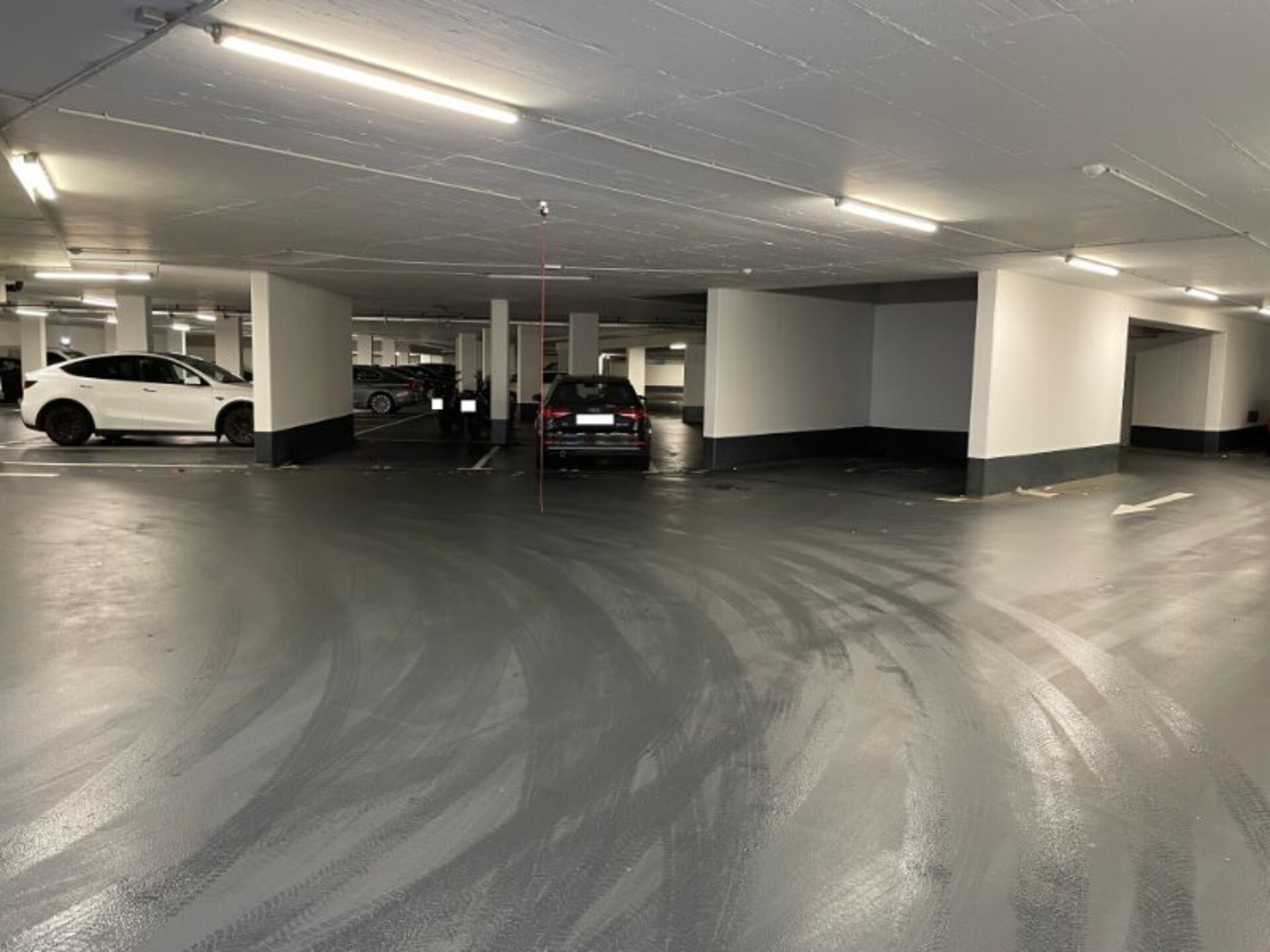 1131.1.jpg | © Dawonia