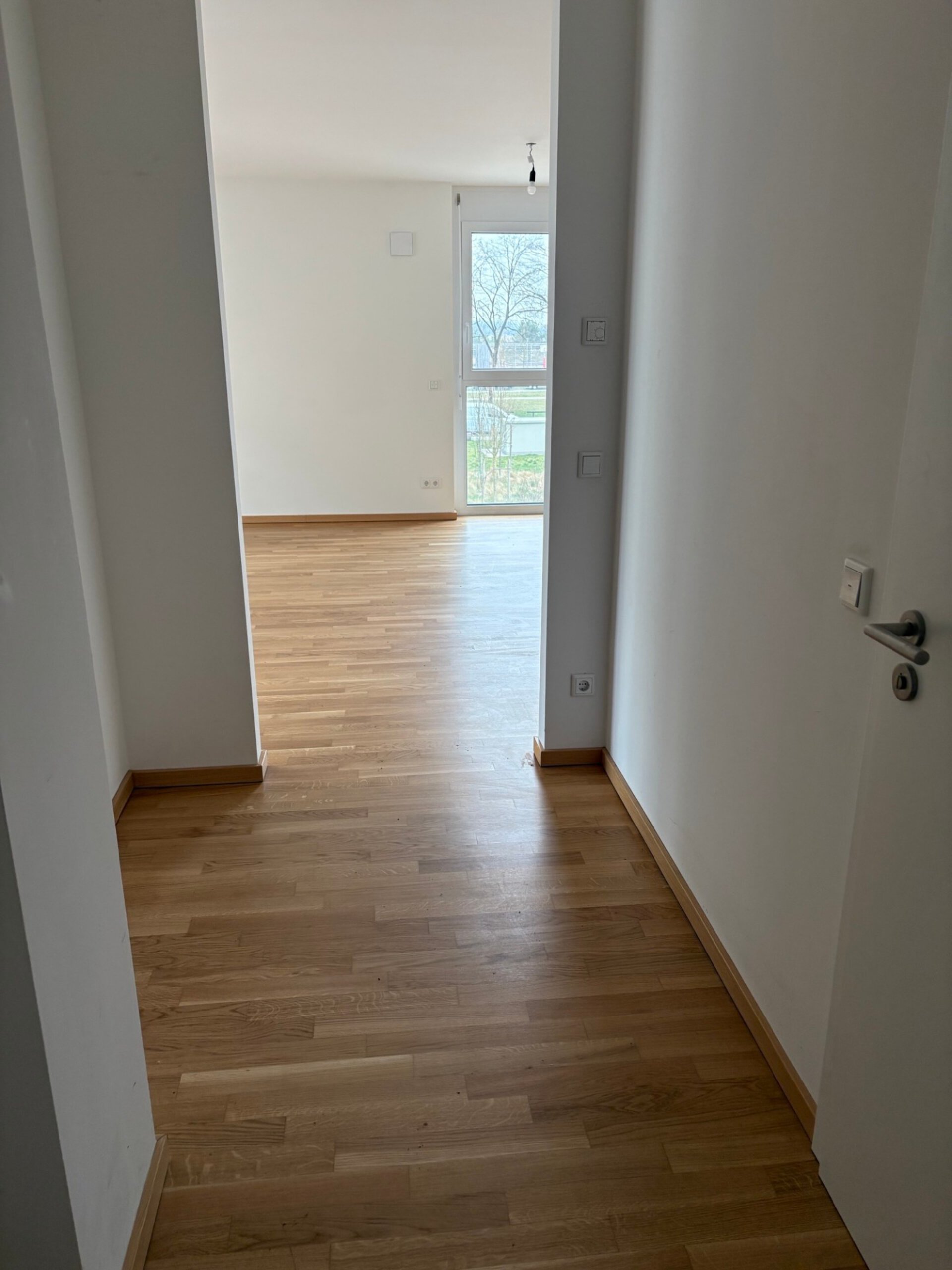 IMG_1433.jpeg | © Dawonia