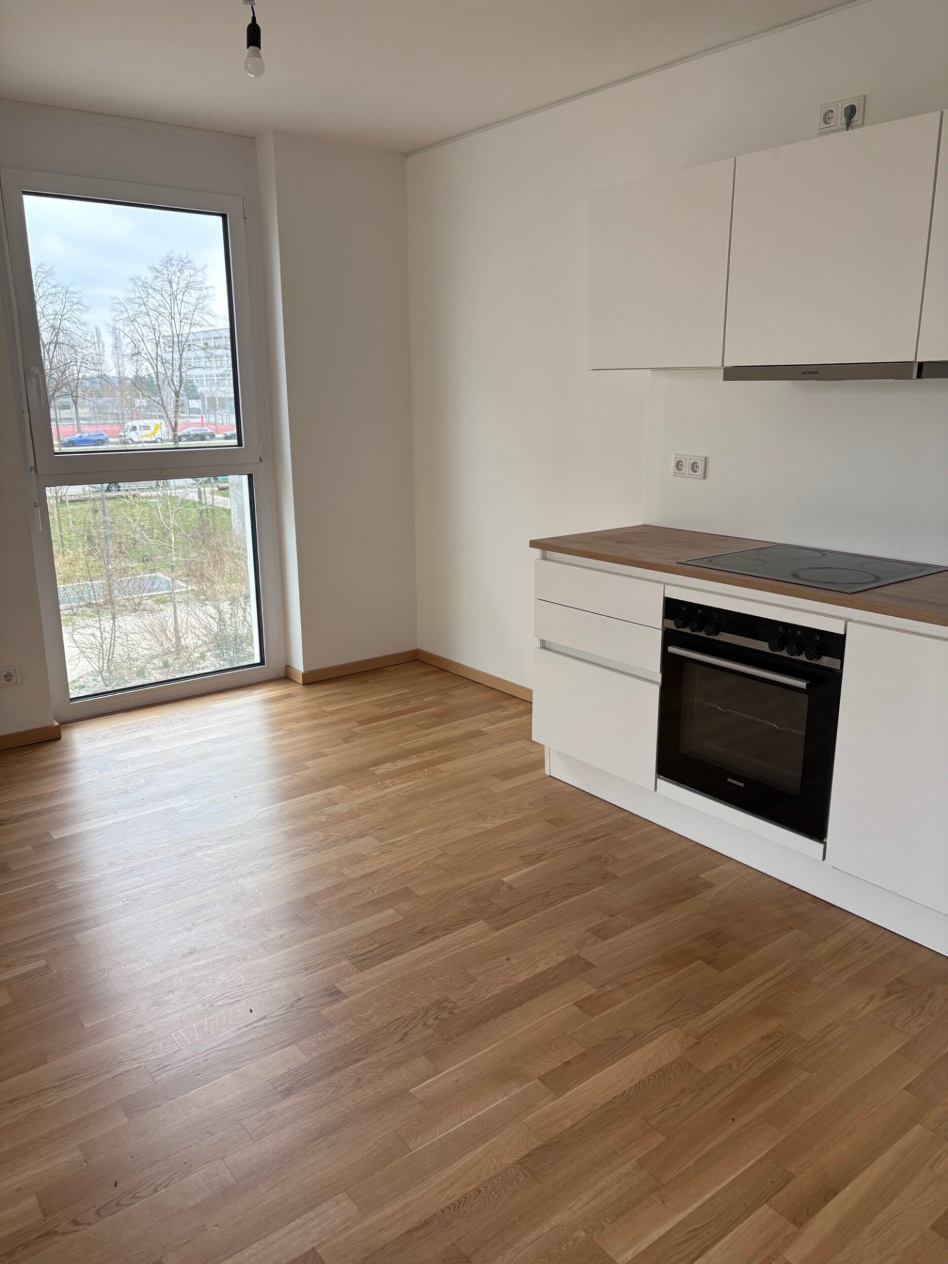 IMG_1438.jpeg | © Dawonia